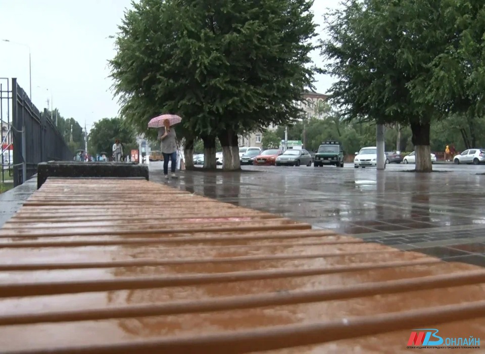 Дожди, грозы и ветер ждут Волгоградскую область 24 июня