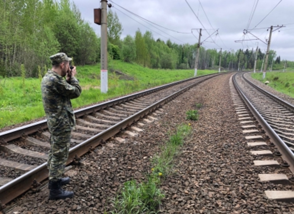 Трое выпускников попали под поезд Москва – Волгоград, двое погибли