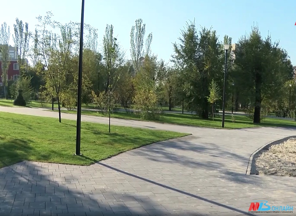 В сквере им. 8 марта Волгограда установят новую парковую мебель и высадят растения
