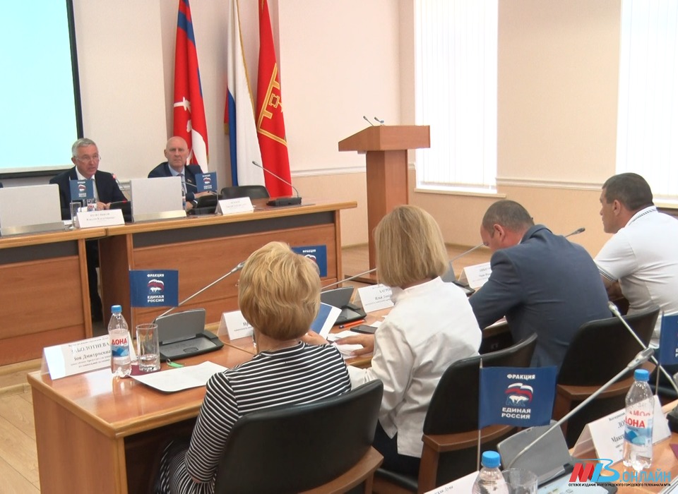 «Пока бьется сердце»: волгоградские депутаты поддержали изменения в действующие нормативные акты