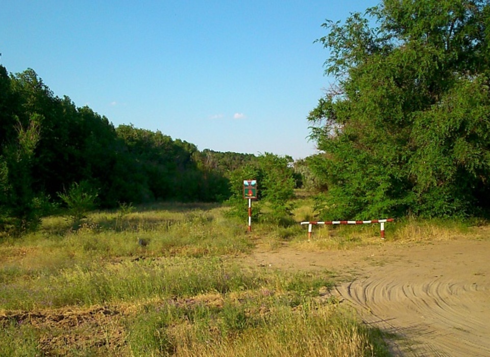 Жителям Волгоградской области запретили посещать леса до 21 июля