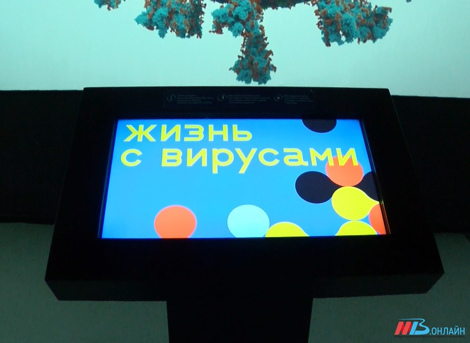 В Волгограде выставка «Жизнь с вирусами» открылась в парке «Россия – моя история»