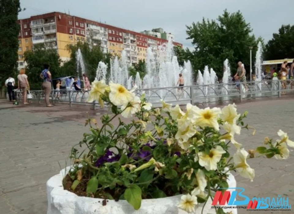 В Волгоградской области 5 августа ожидается 35-градусная жара с грозами