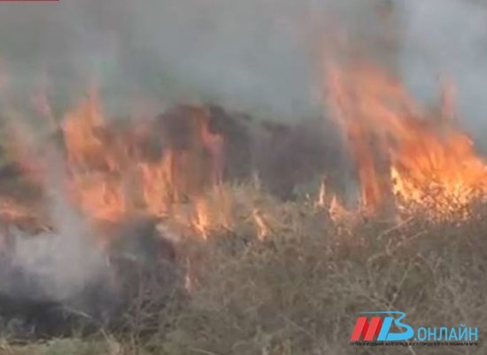 В Волгоградской области потушили крупный лесной пожар