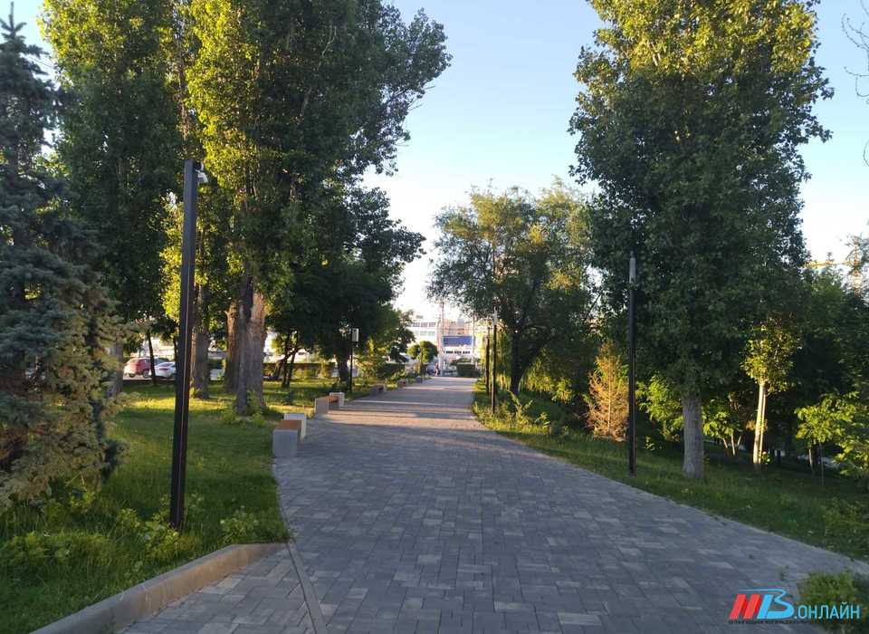Невыносимая жара до +42 ожидается в Волгограде и области 12 августа