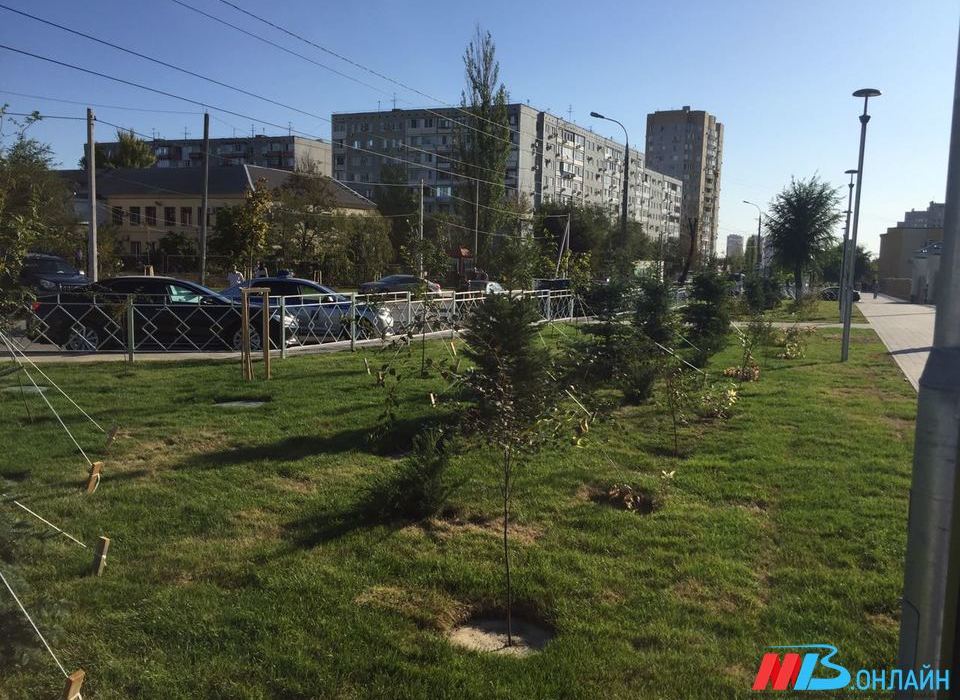 Новая неделя в Волгограде и области начнется с 35-градусной жары