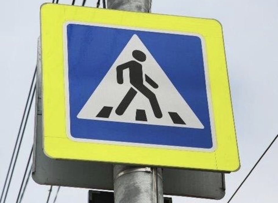 Волгоградским пешеходам напомнили о правилах безопасного поведения на дорогах
