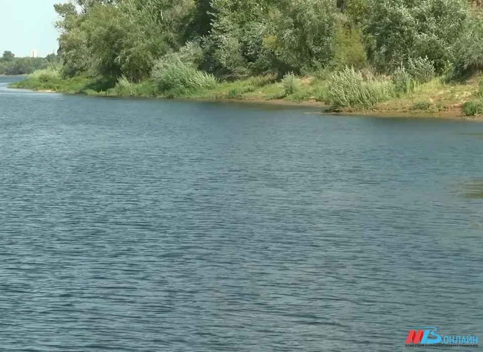 В Волгоградской области прохожий нашел в водоеме тело пропавшего мужчины