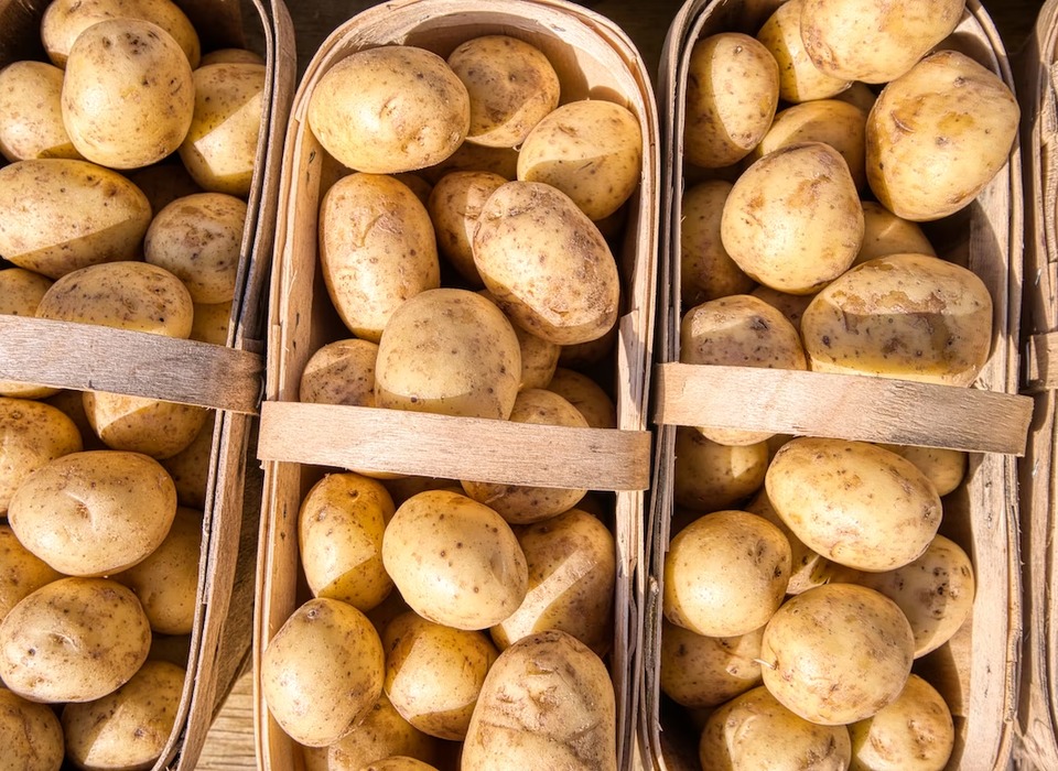 Роспотребнадзор рассказал волгоградцам, как правильно выбрать хороший картофель