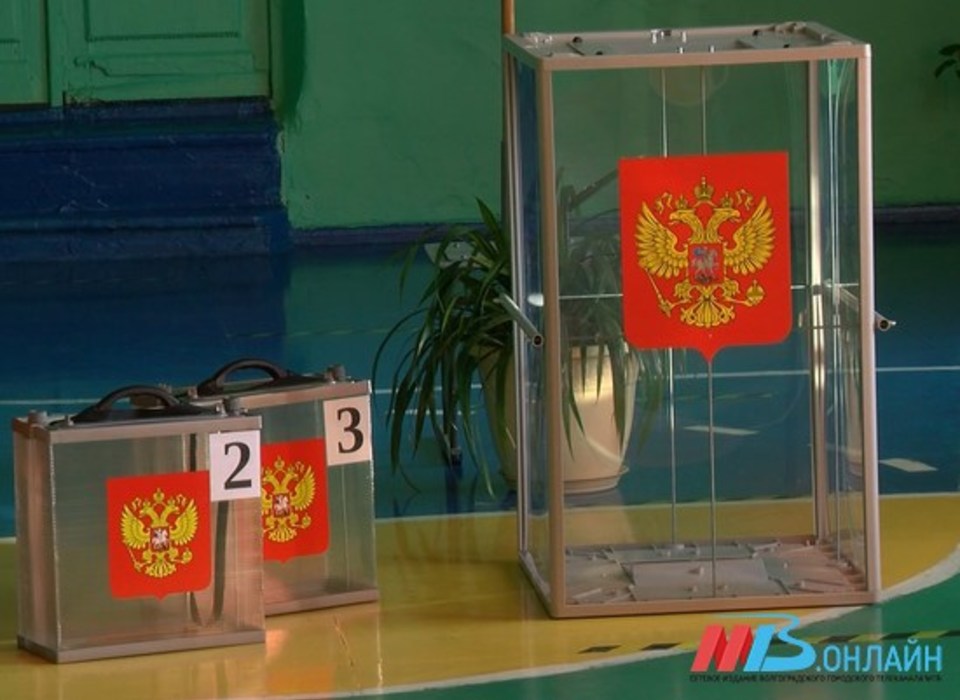 Трехдневное голосование стартовало в Волгоградской области