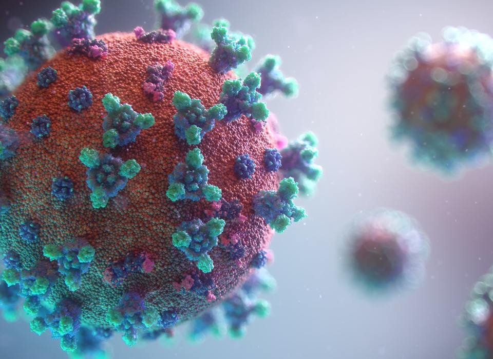 Стали известны симптомы нового штамма коронавируса – «ниндзя»