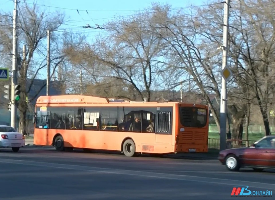 В Волжском отменят дачные автобусы по вторникам и четвергам