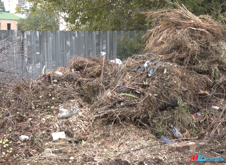 В Волгограде очистили от мусора территорию возле многоэтажки