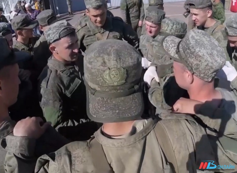 О мобилизации выпускников военных кафедр рассказали на горячей линии в Волгограде