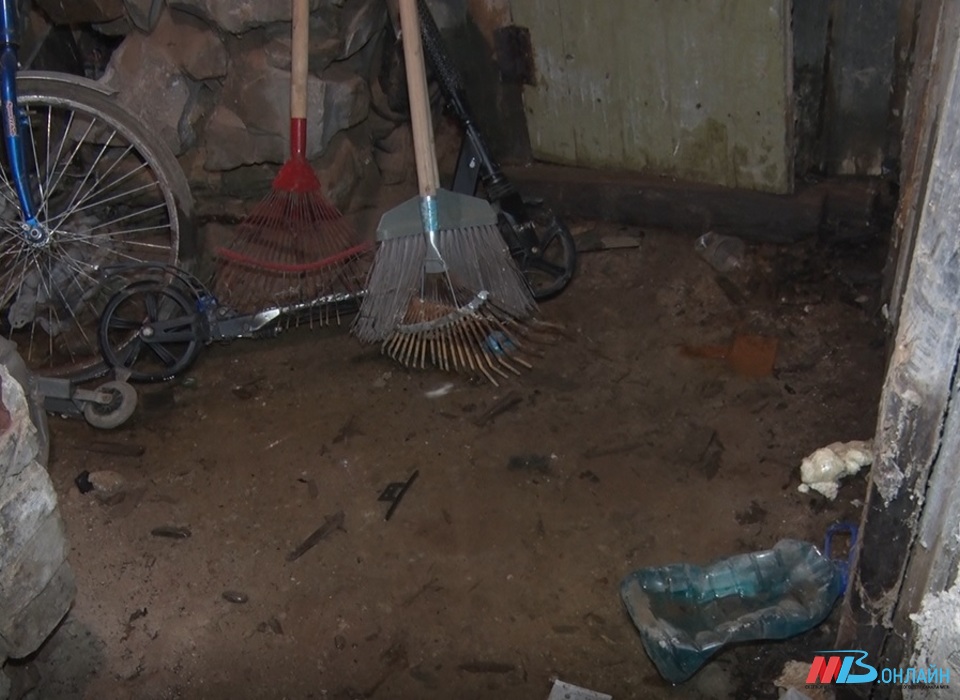 Жильцы дома на юге Волгограда соседствуют с комарами и блохами из-за «болота» в подвале