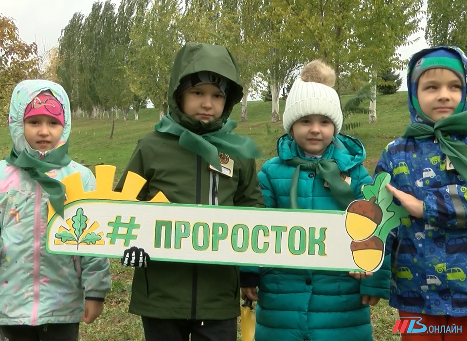 Малыши - активисты проекта «Проросток» - высадили дубы на главной высоте России