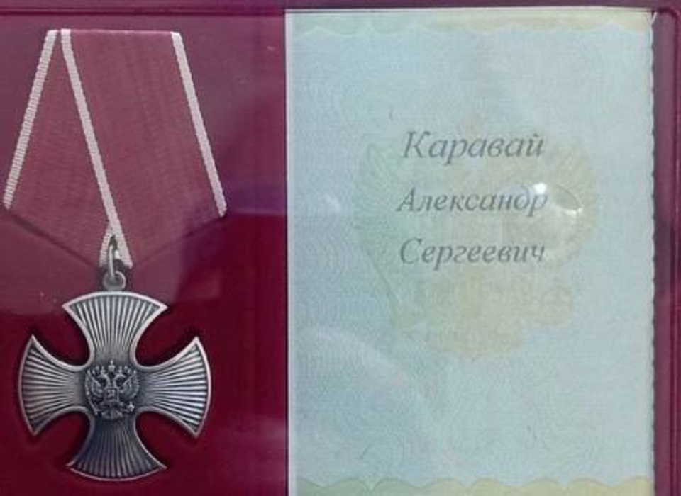 Десантника из Волгоградской области наградили орденом Мужества