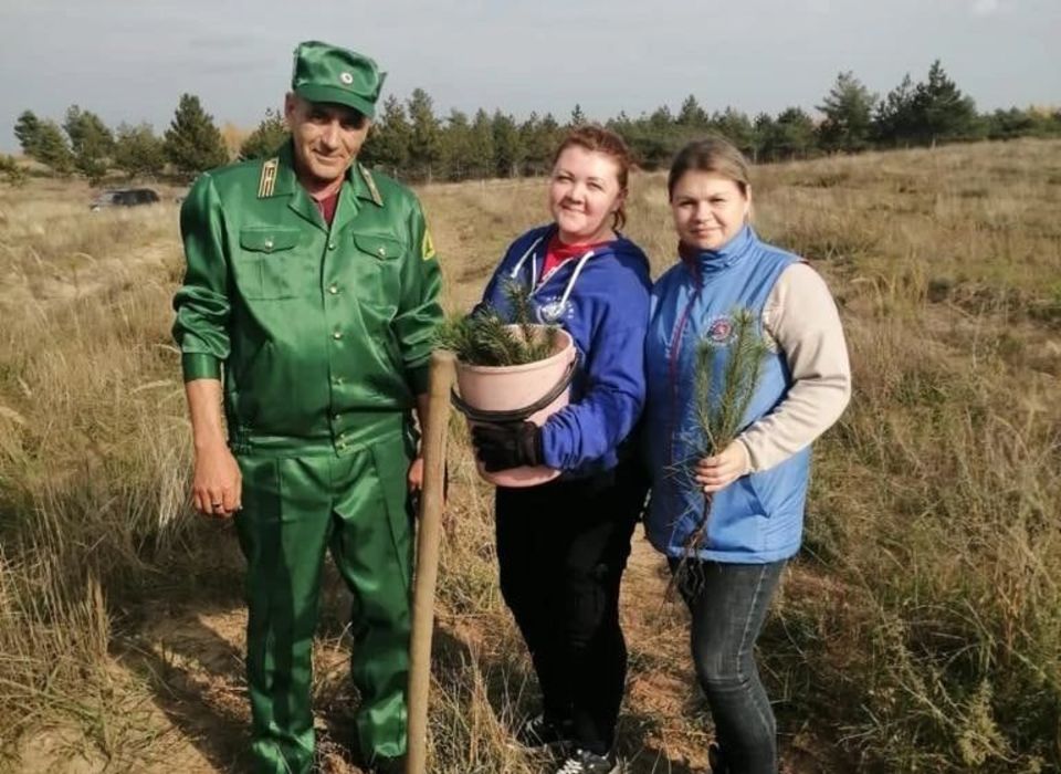 В Волгоградской области железнодорожники высадили более 2,2 тысяч деревьев