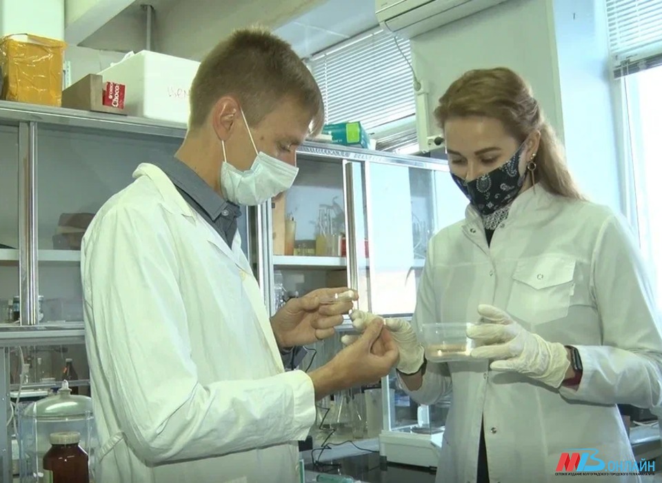 В Волгоградской области зарегистрированы первые в сезоне случаи свиного гриппа
