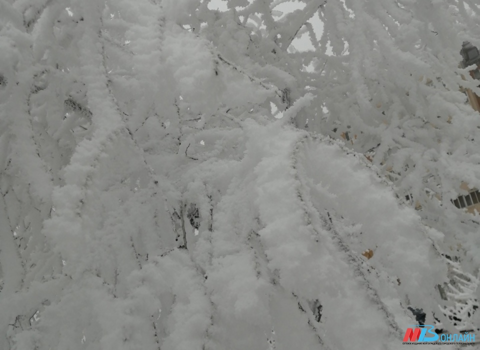С приходом календарной зимы Волгоград запорошит снегом