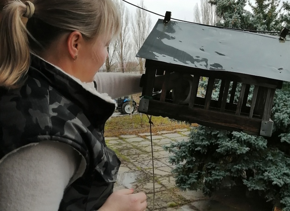 В Волгоградской области стартует традиционная акция «Покорми птиц»