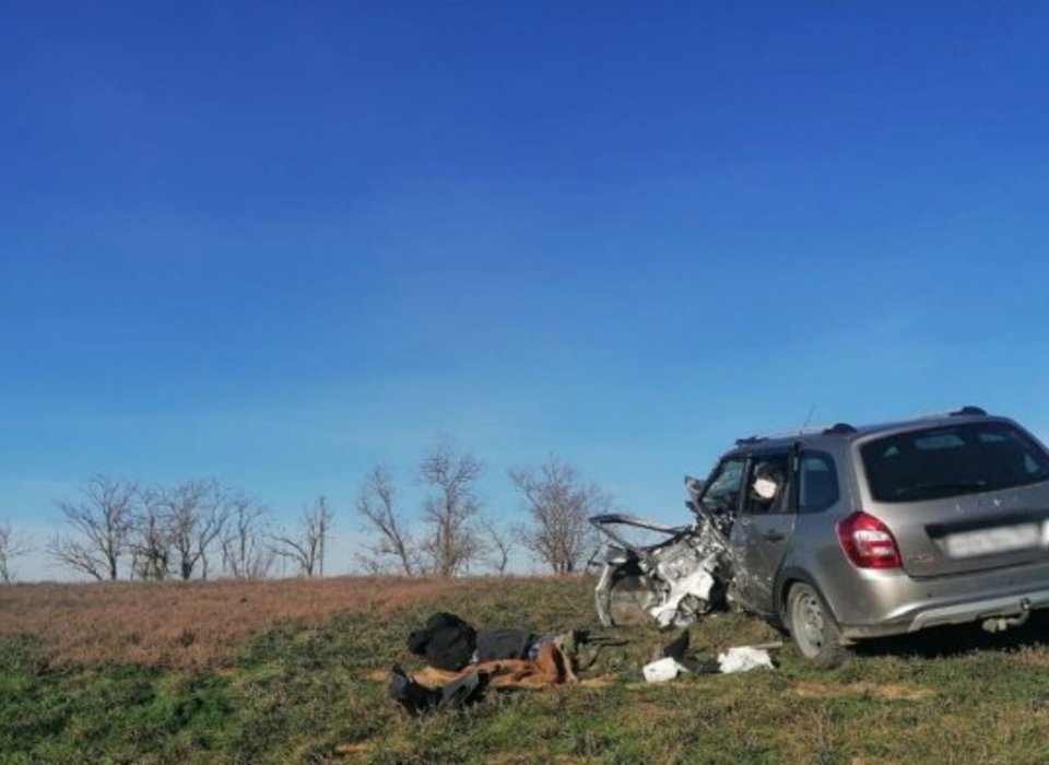 В ДТП на трассе под Волгоградом погибли 2 водителя