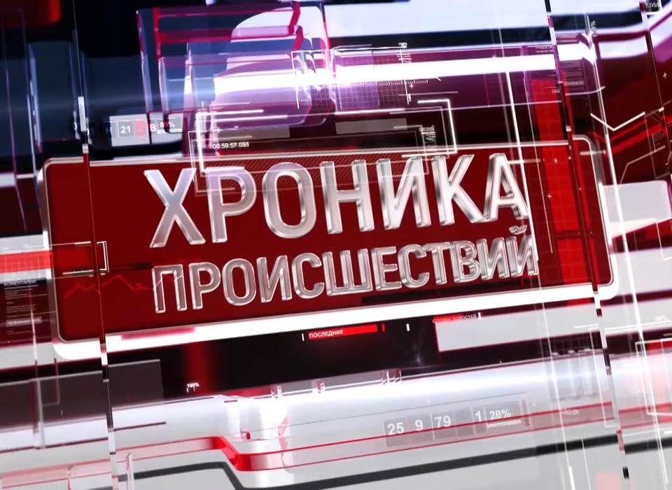 В Волгоградской области задержали водителя с фальшивыми правами