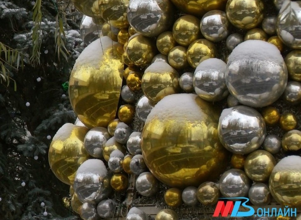 Главную новогоднюю елку Волгограда установят в ЦПКиО