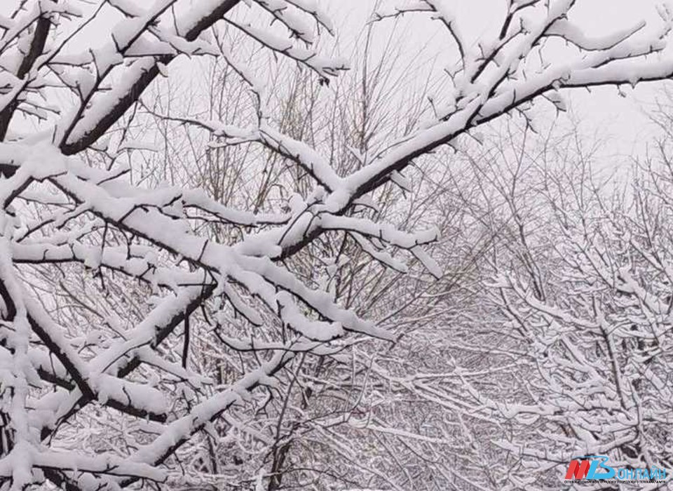 Снег, дождь и туман ожидаются в Волгоградской области 17 и 18 декабря