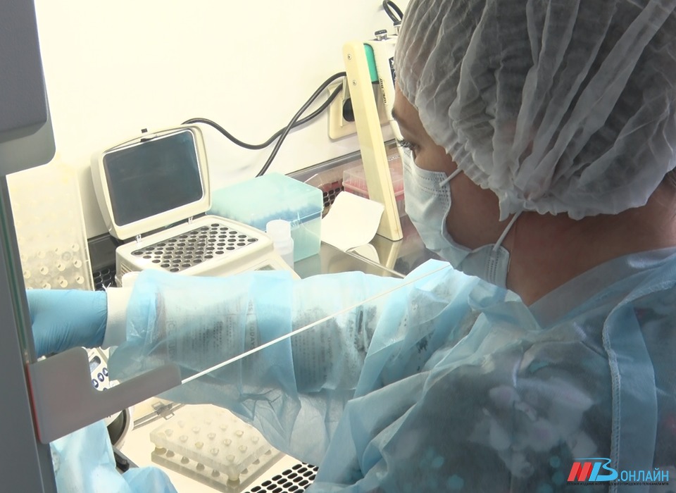 В вирусологических лабораториях Волгограда выявляют грипп с точностью до 99,9%