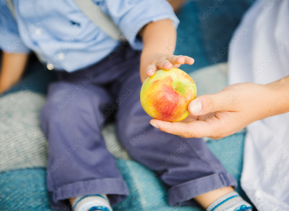 Волгоградским родителям рассказали о том, как приучить ребёнка есть фрукты и овощи
