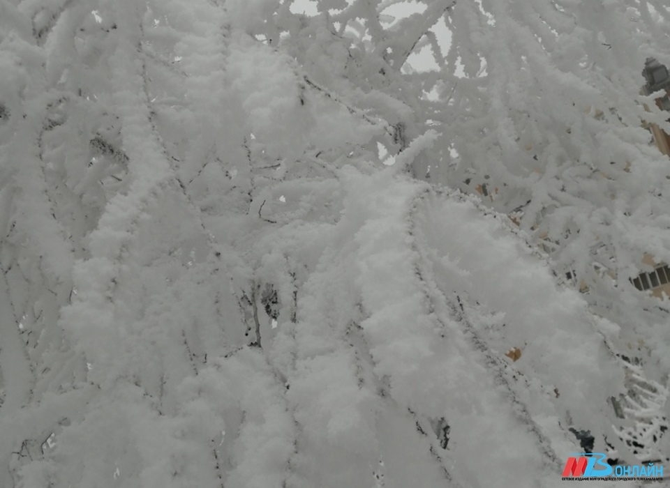 30 декабря в Волгограде и области прогнозируют мокрый снег и гололед