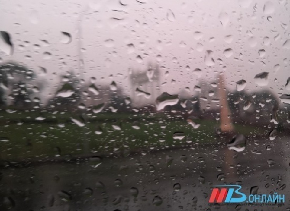 Дожди и +5°: Волгоград остается во власти непогоды