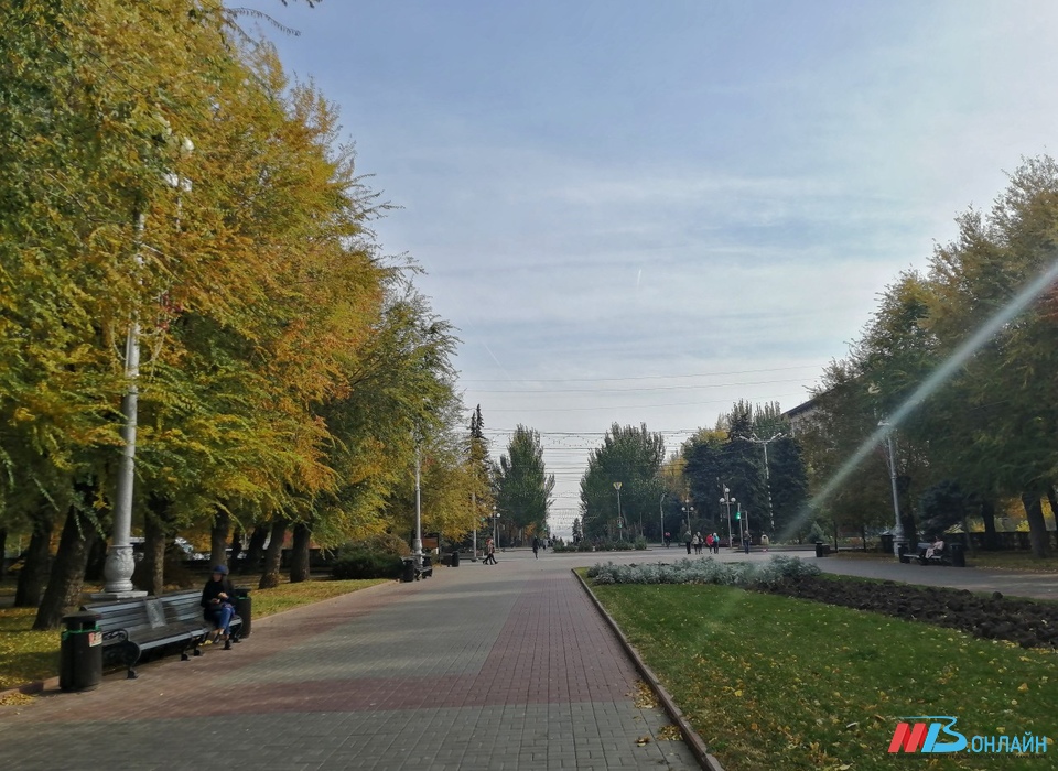 В Волгоградской области 18 сентября ожидается солнечная погода при +26º