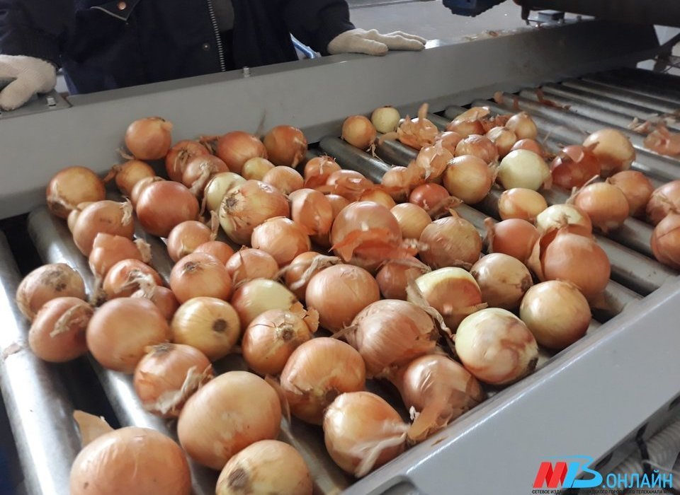 Волгоградцам посоветовали не жарить семечки и картофель 20 сентября