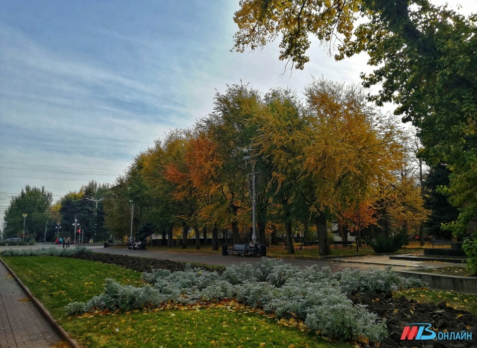 В Волгограде 25 сентября воздух прогреется до +28º