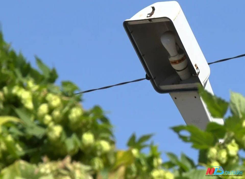 В пяти районах Волгограда 3 октября отключат электричество