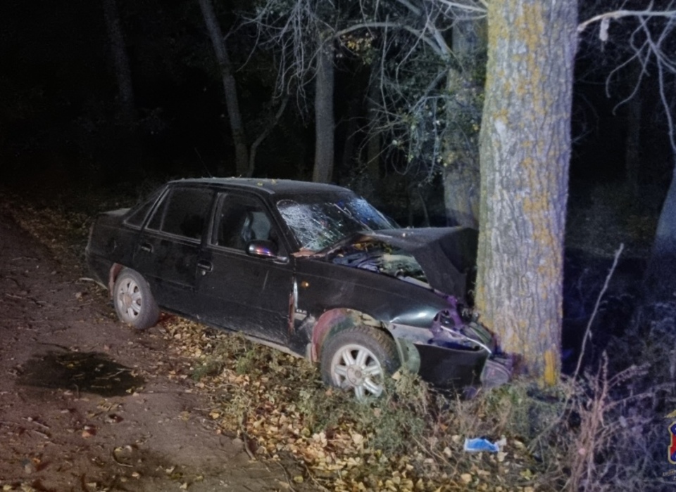 Под Волгоградом после наезда на дерево погиб 63-летний водитель