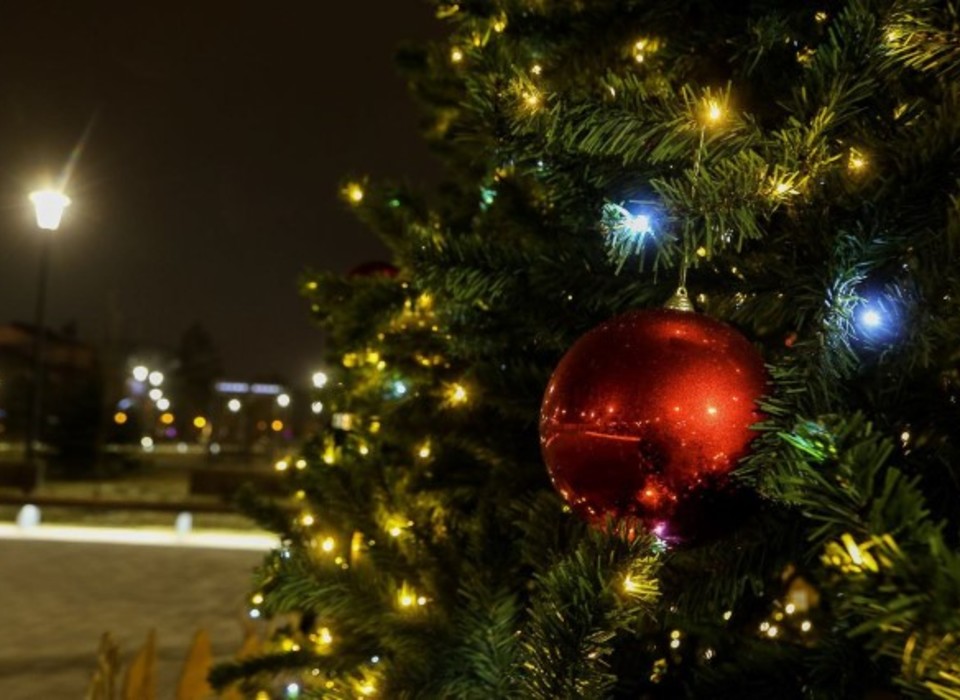 12-метровая ель украсит на Новый год сквер в Советском районе Волгограда