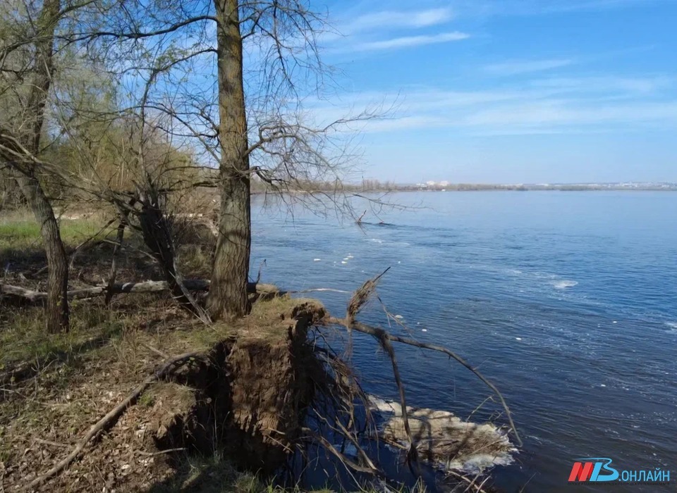 В Волгограде сорвали сроки по проекту обводнения Волго-Ахтубинской поймы