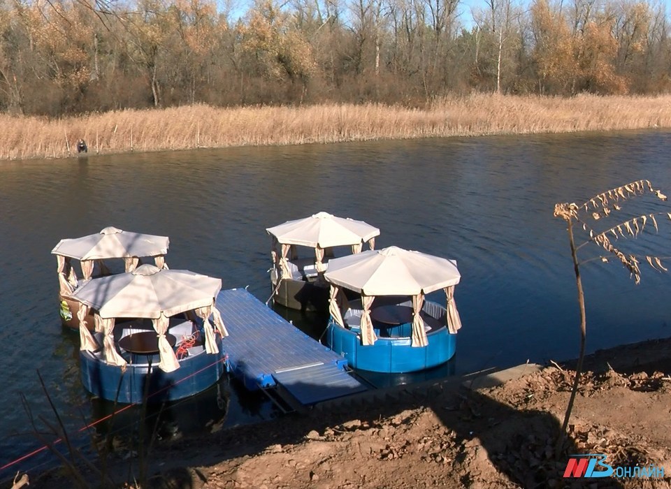Туристы приедут в Волгоградскую область ради селфи с баранами и лодок-роботов