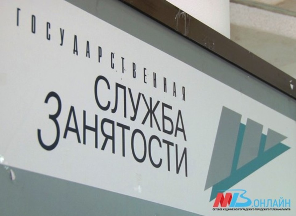 В Камышине Волгоградской области ЦЗН помогли 1178 гражданам найти работу