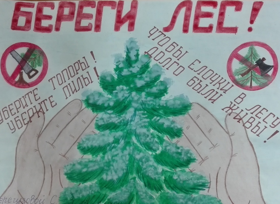В Волгоградской области проходит конкурс на самую красивую ёлку
