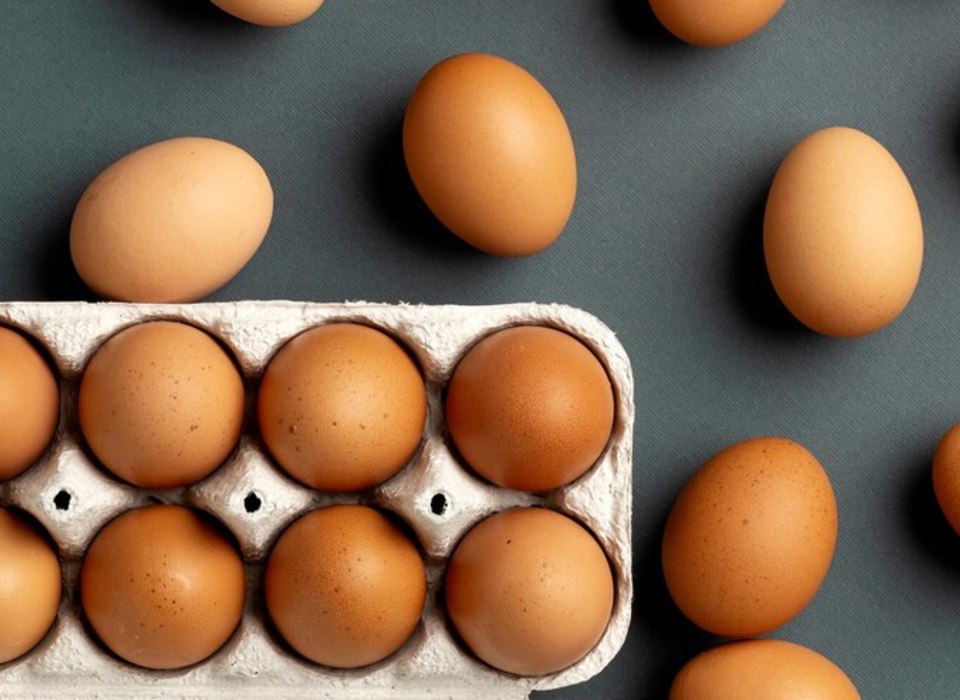 В Волгоградской области за 2023 год увеличилось производство куриных яиц
