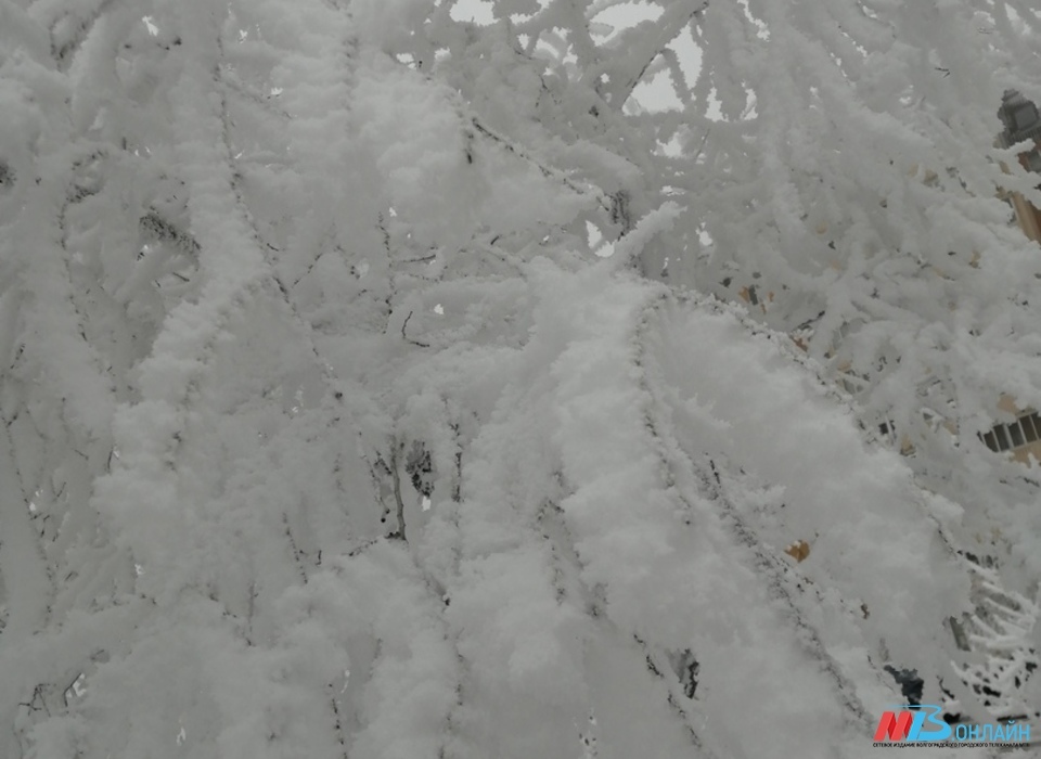 Крепкие морозы и снегопад накроют Волгоград на предстоящей неделе