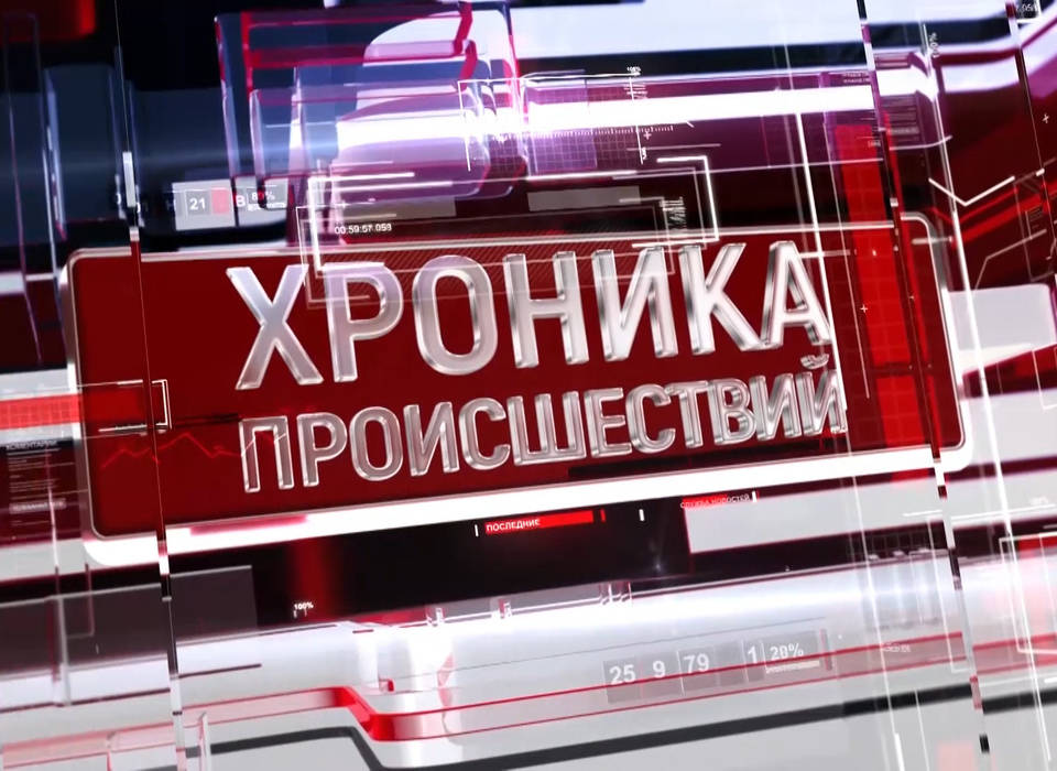Соседский конфликт в Волгограде обернулся госпитализацией и уголовным делом