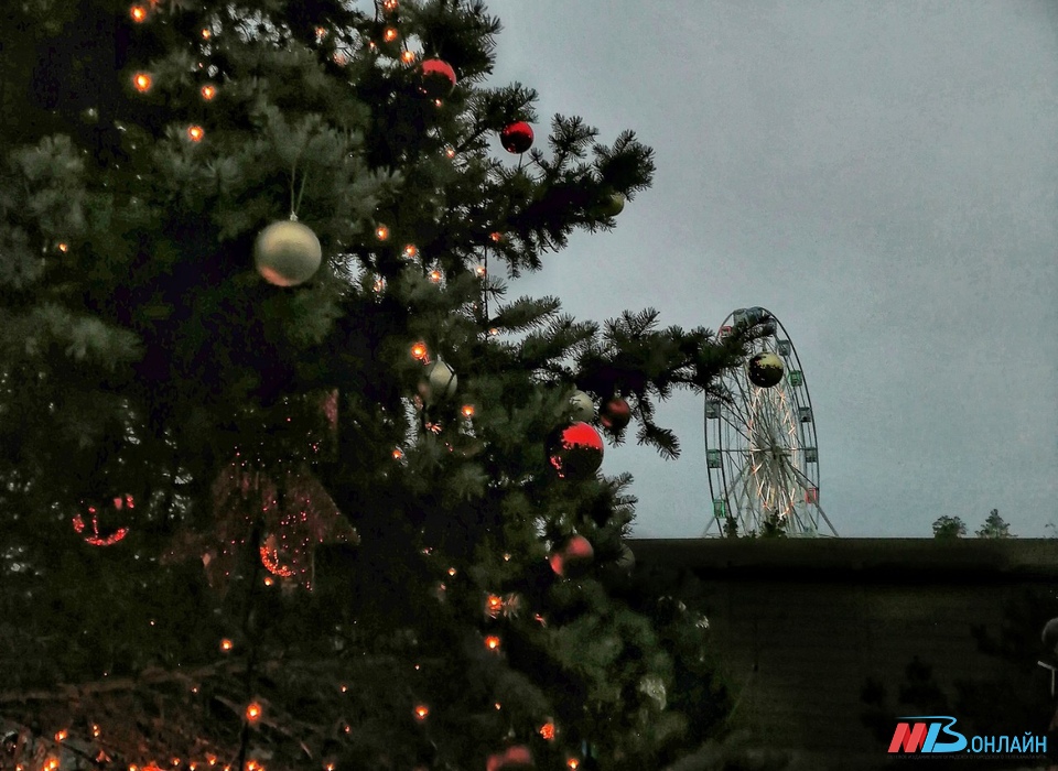 В Волгограде начали устанавливать 20-метровую новогоднюю ёлку
