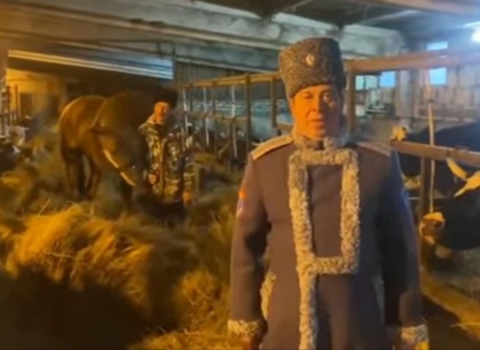 Волгоградские чиновники отправятся к фермеру после его вопроса Владимиру Путину