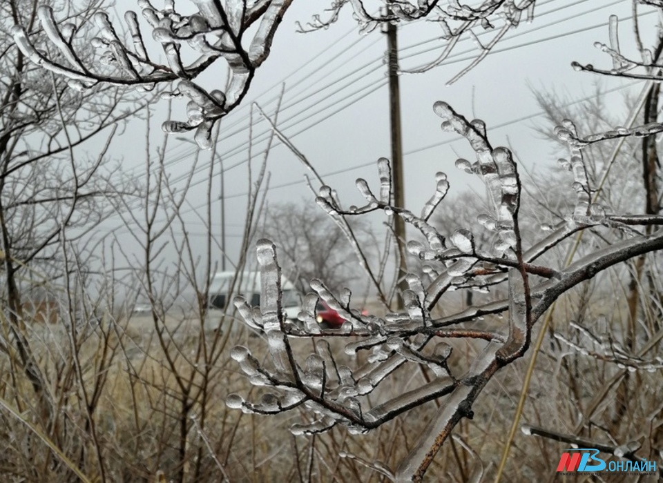 В Волгограде 19 декабря ожидается дождь с потеплением до +3°С