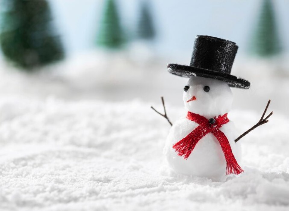 В Камышине Волгоградской области пройдет рождественский парад снеговиков